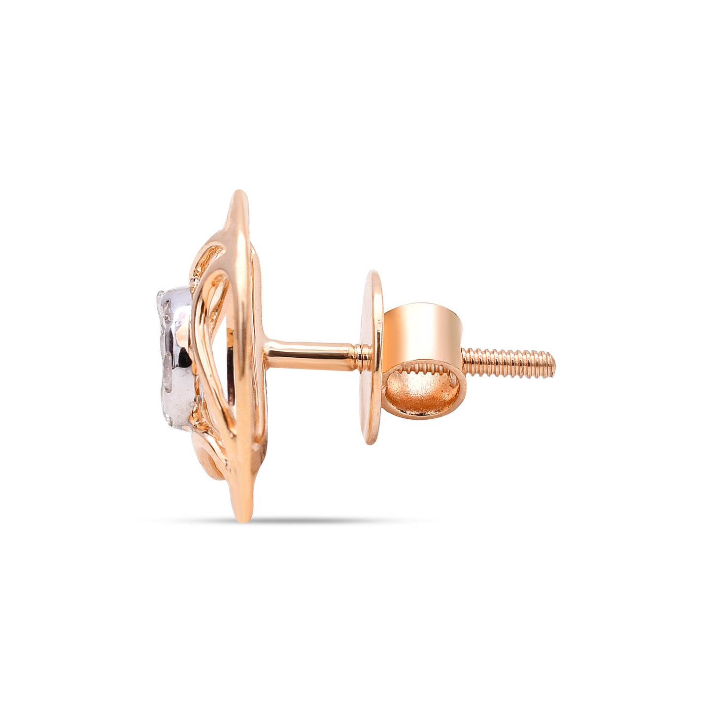 The Vasvi Diamond Studs
